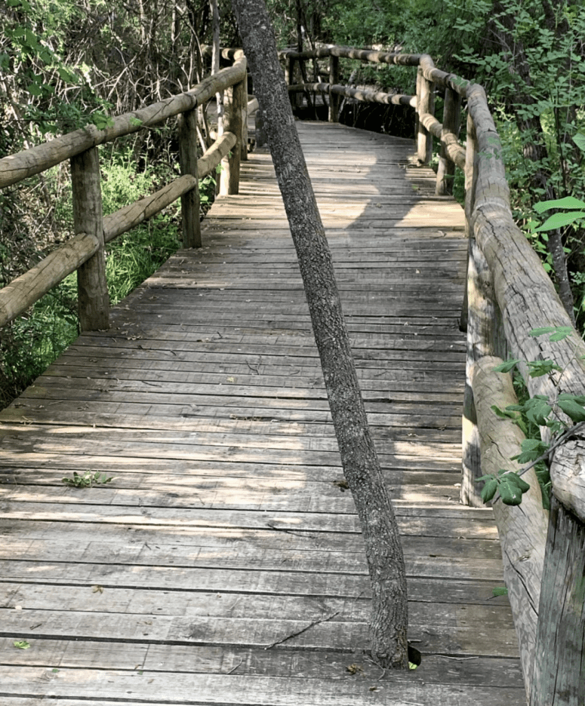 puente para caminar en la ruta las barrancas del brujon
