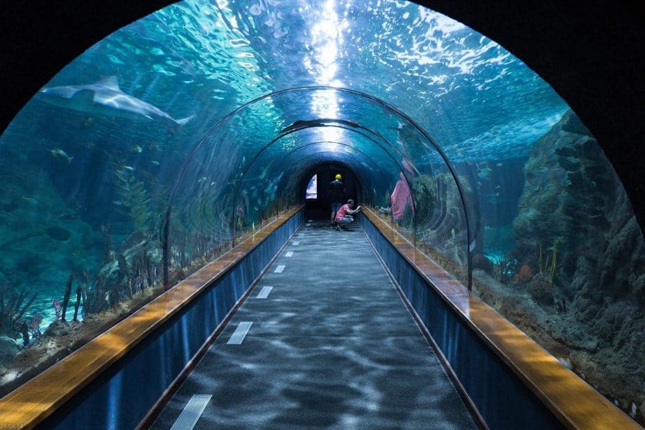 Aquarium of the Bay: Precio Entradas